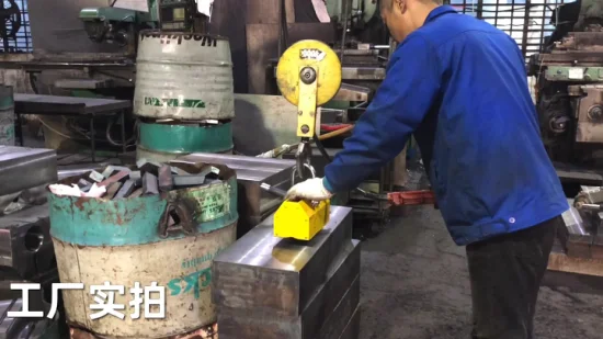 China Bester 1000 kg Magnetheber-Hebemagnet